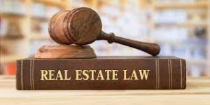 Agency Law & Real Estate License Law